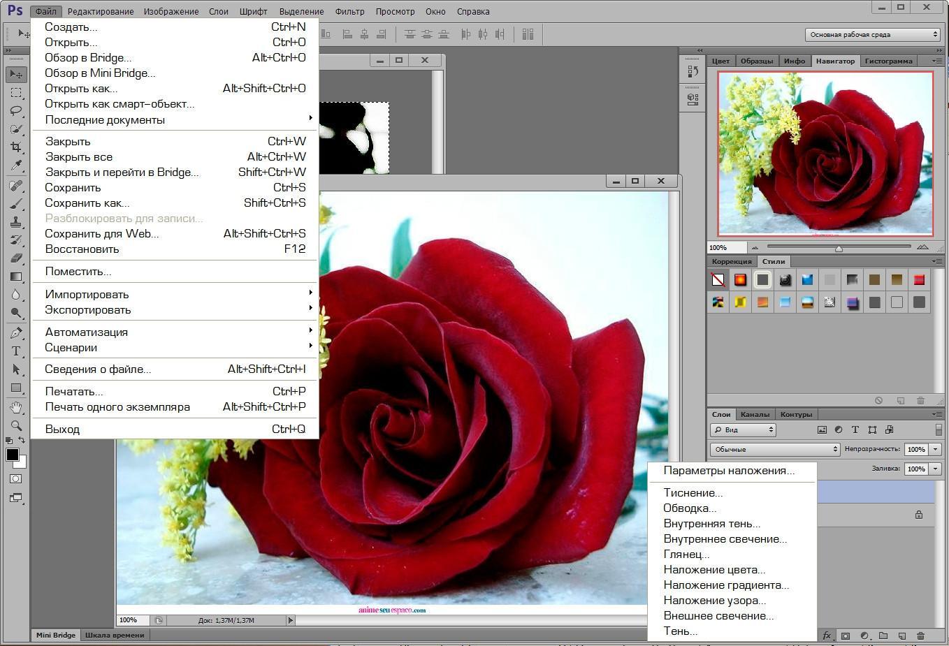 Adobe Photoshop Cs5 Free Download Full Version With Crack For Mac